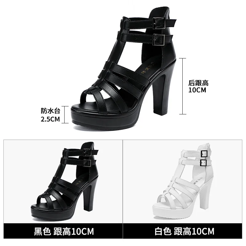 Gladiator Ladies Shoe for Wome - Summer Clothing Sale avaliação e preço